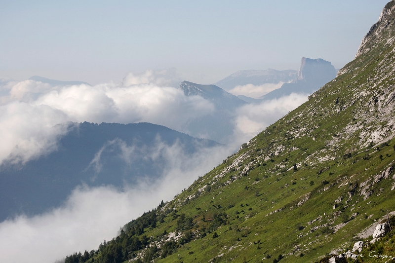 _MG_9491_.jpg - Le Mont Aiguille vu depuis le Balcon Est, près du  Col Vert  (Villard de Lans, 38)