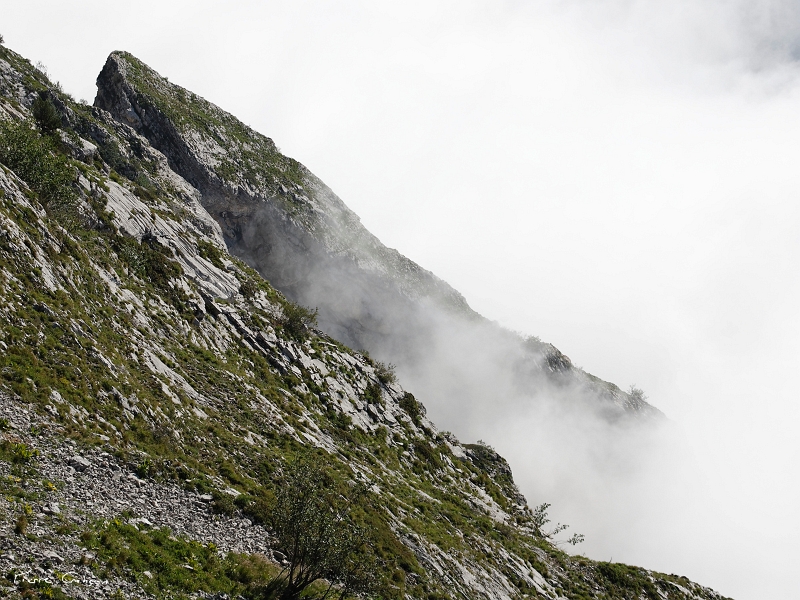 _MG_9492_.jpg - Sur le Balcon Est, près du  Col Vert  (Villard de Lans, 38)