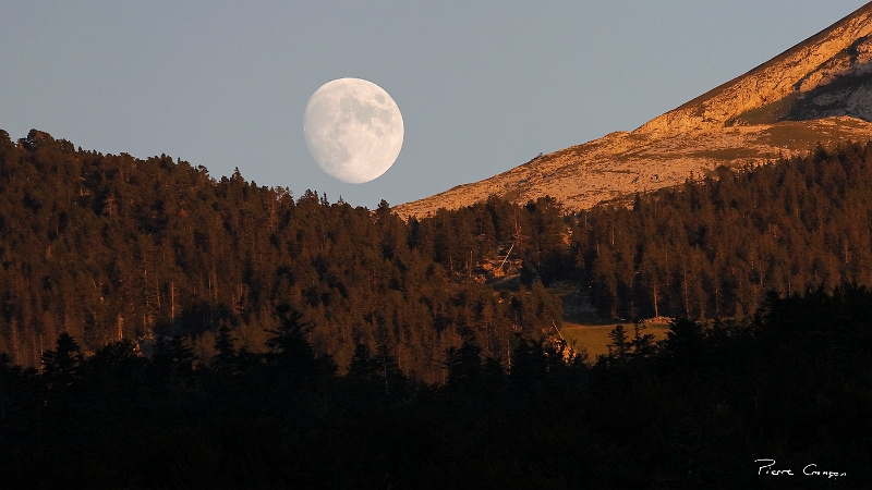 _MG_9536_.jpg - La Grande Moucherolle (Corrençon en Vercors, 38)