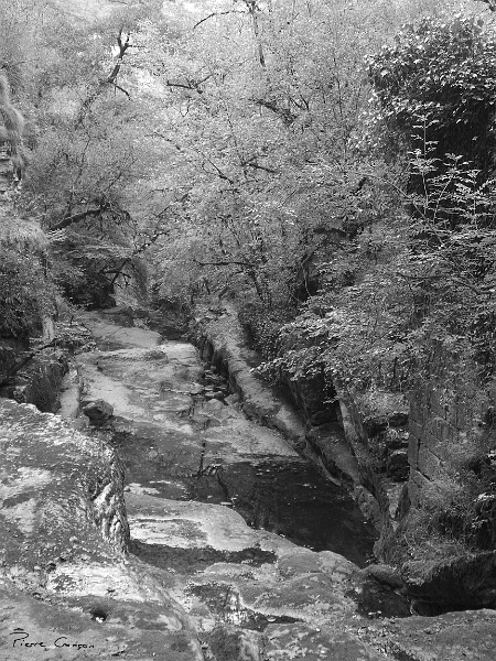 CRW_6051.JPG - Moulin du Saut (Vallée de l'Alzou, Rocamadour)