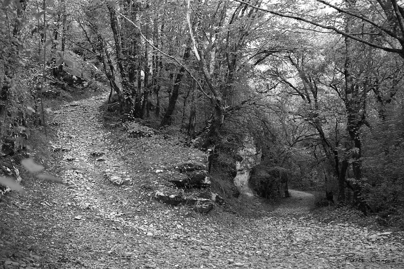 CRW_6077.JPG - Moulin du Saut (Vallée de l'Alzou, Rocamadour)