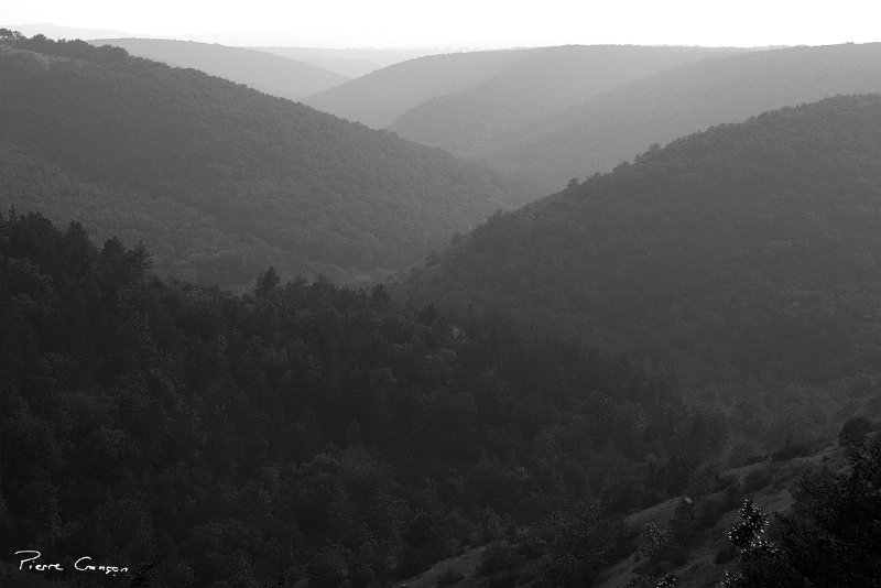 CRW_6084.JPG - Affluent de l'Alzou, près de Rocamadour