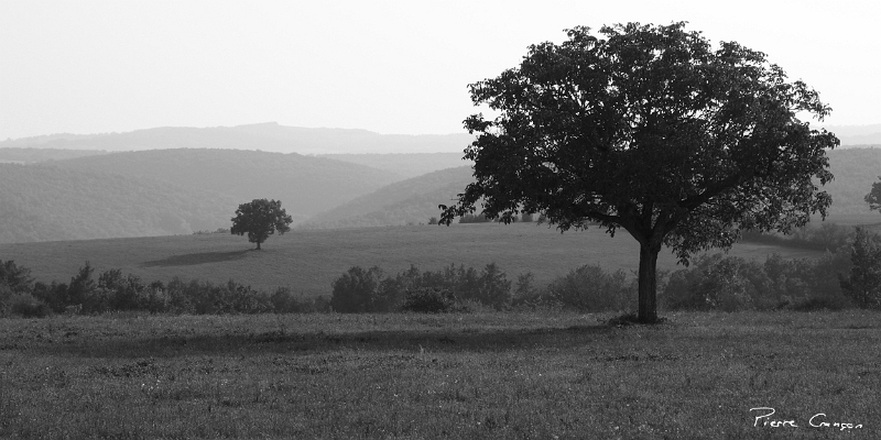 CRW_6085.JPG - Près des Granges de Bonnecostes, Vallée de l'Alzou