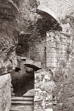 CRW_6043