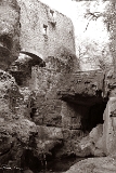 CRW_6044