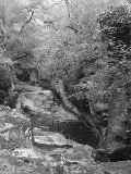 CRW_6051