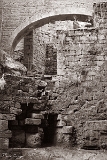 CRW_6052