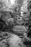 CRW_6058