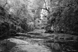 CRW_6062