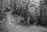 CRW_6077