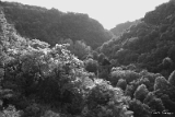 CRW_6108