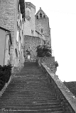 CRW_6156
