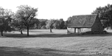CRW_6319