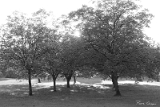 CRW_6324