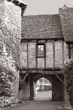 CRW_6332