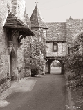 CRW_6334_