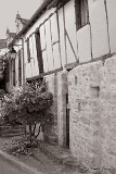 CRW_6339