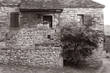 CRW_6341