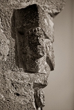 IMG_7865_PF