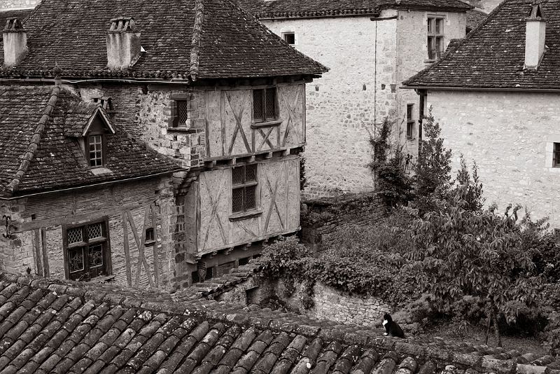 _MG_9185_.jpg - Saint Cirq Lapopie