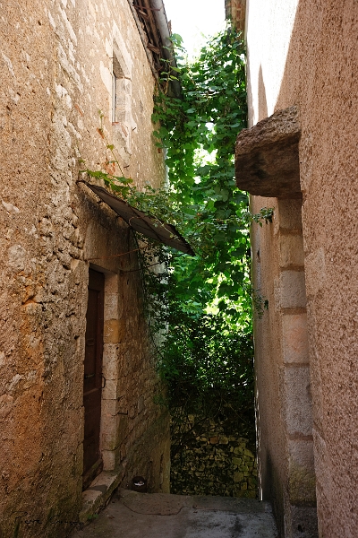 _MG_9270_.jpg - Saint Cirq Lapopie