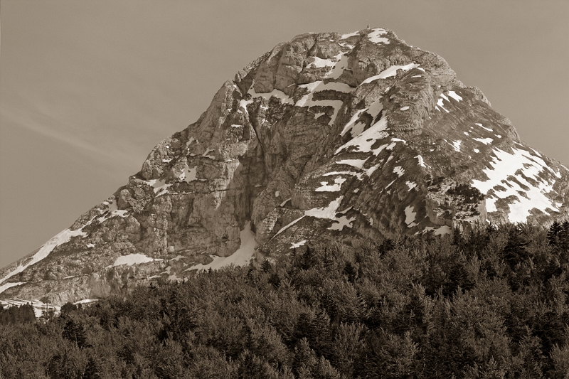 IMG_1329_PF.jpg - La Grande Moucherolle