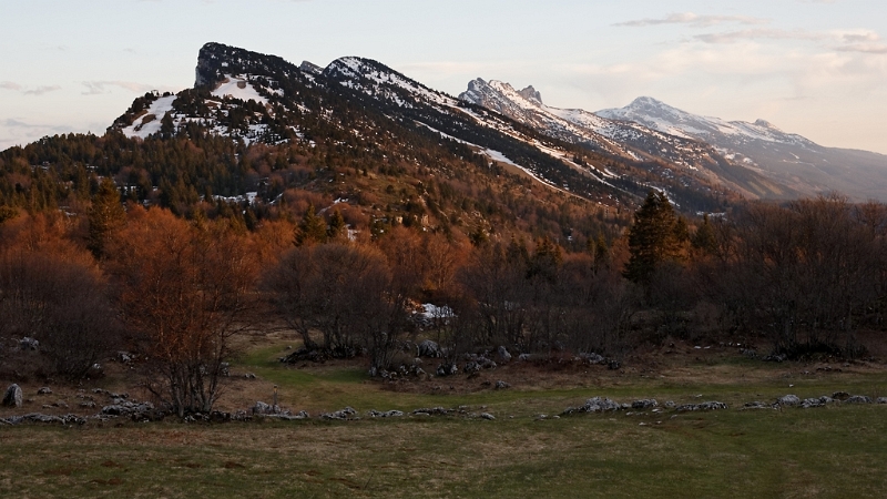 IMG_7339_PF.jpg - Plateau des Ramées
