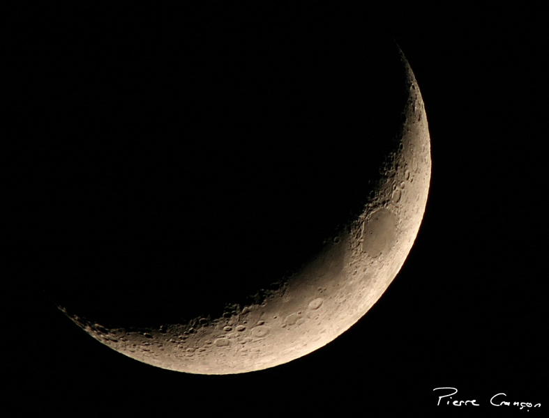 IMG_2152.jpg - Digiscopie avec lunette terrestre Swarovski ATS 80 HD (oculaire x20-60) + EF 50/1.8+EOS 10D